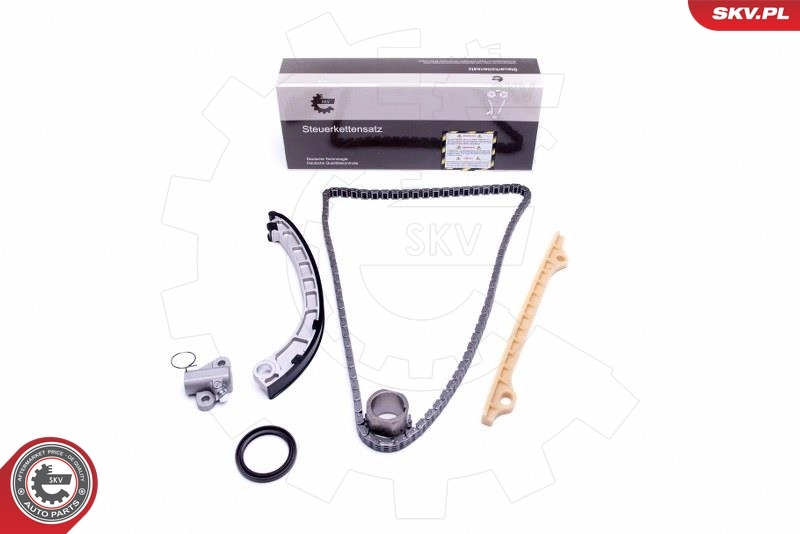 Timing Chain Kit